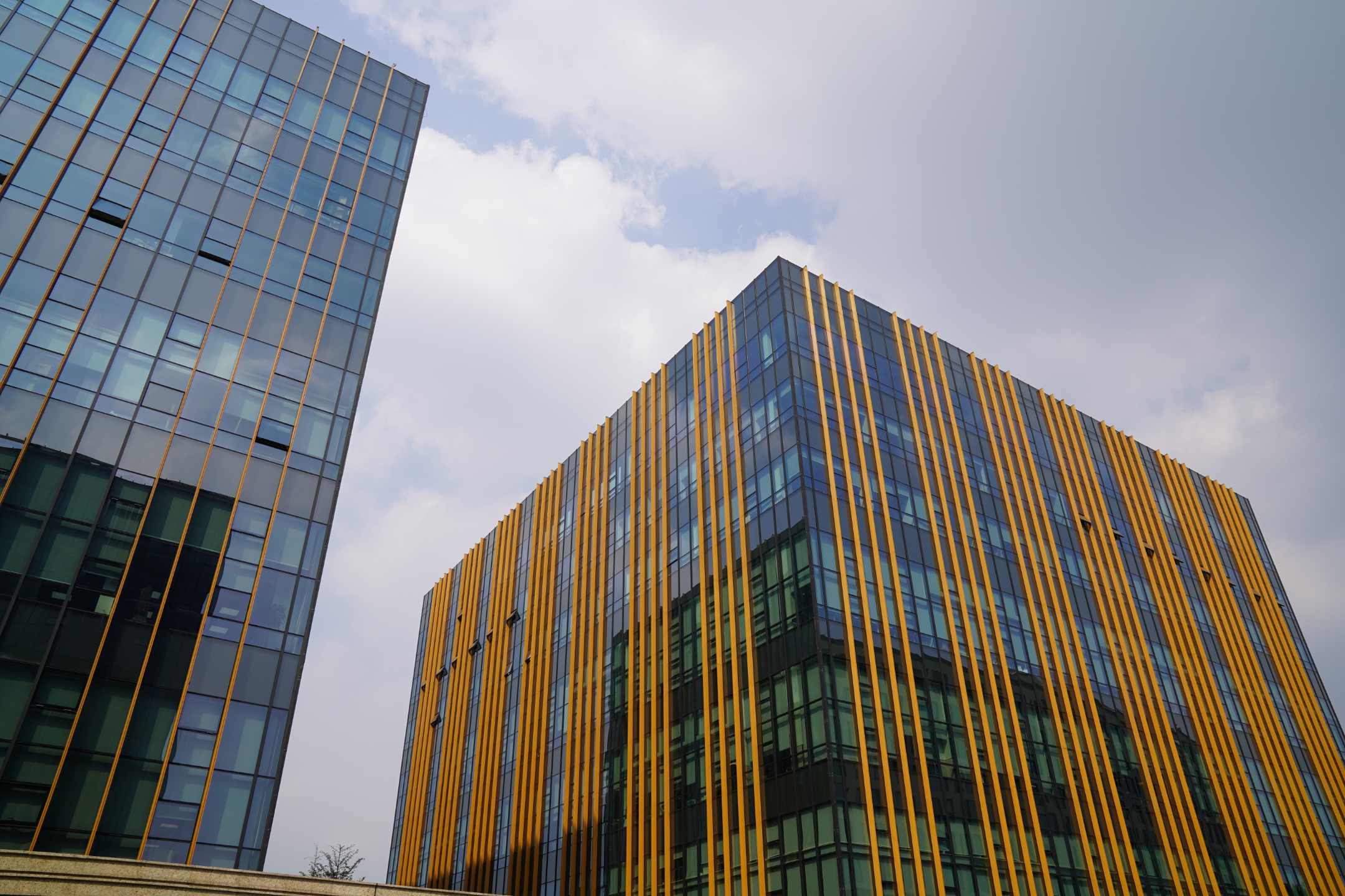 虹桥国际中央商务区一周岁