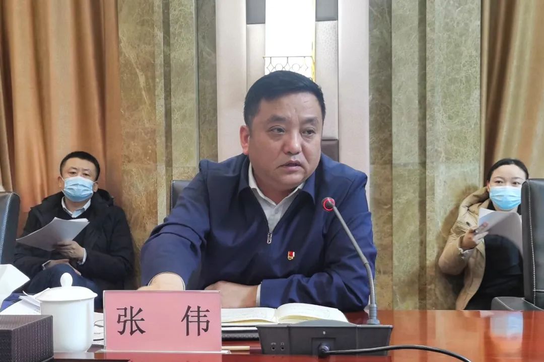 副市长,市未成年人保护工作领导小组组长张伟出席会议并讲话,市民政局