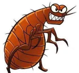 屋内跳蚤安家野猫开会租客能否要求退还房租