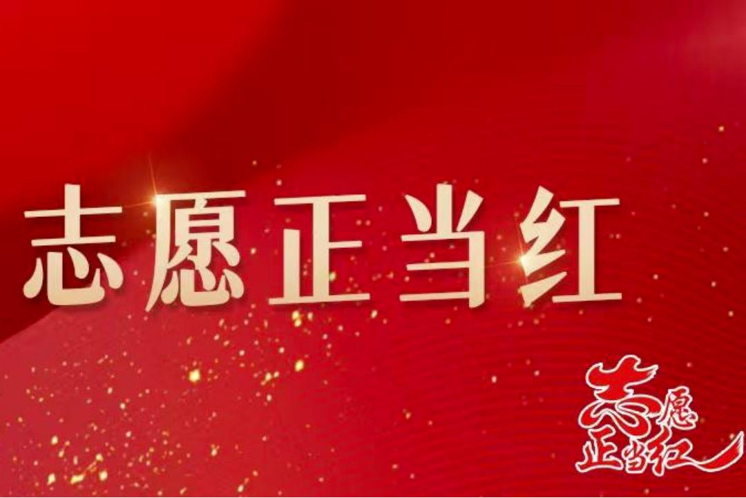 志愿正当红