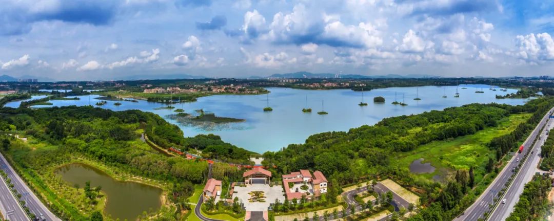 云东海14年等来了当主角的时代佛北战新61创新梦想