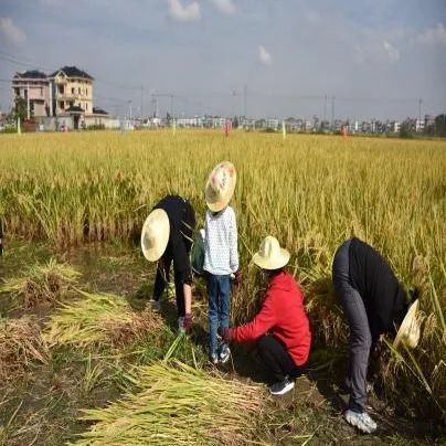 疫情防控宣传领域,联合宣传部门共同邀请了知名曲艺演员翁仁康,俞德其