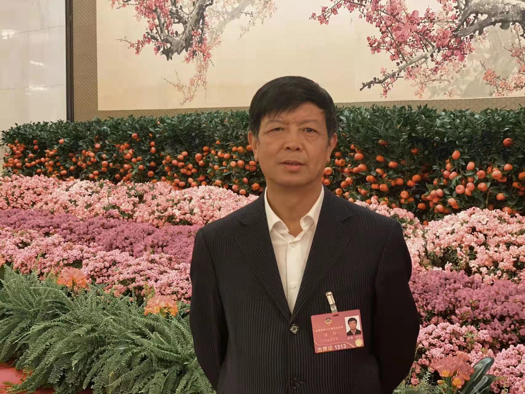 全国政协委员林阳建议推动当代诗词入史