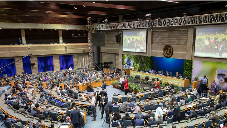 第五届联合国环境大会通过终结塑料污染决议 | 全球生物多样性治理（第51期）