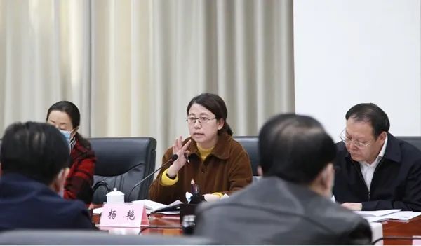 杨艳代表:瞄准"卡脖子"难题 加强技术攻关_澎湃号·媒体_澎湃新闻-the