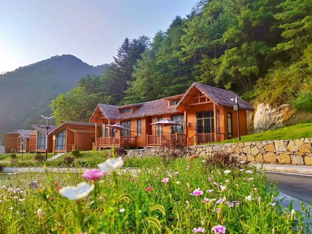 妇女节巴桃园景区为妳免费开!