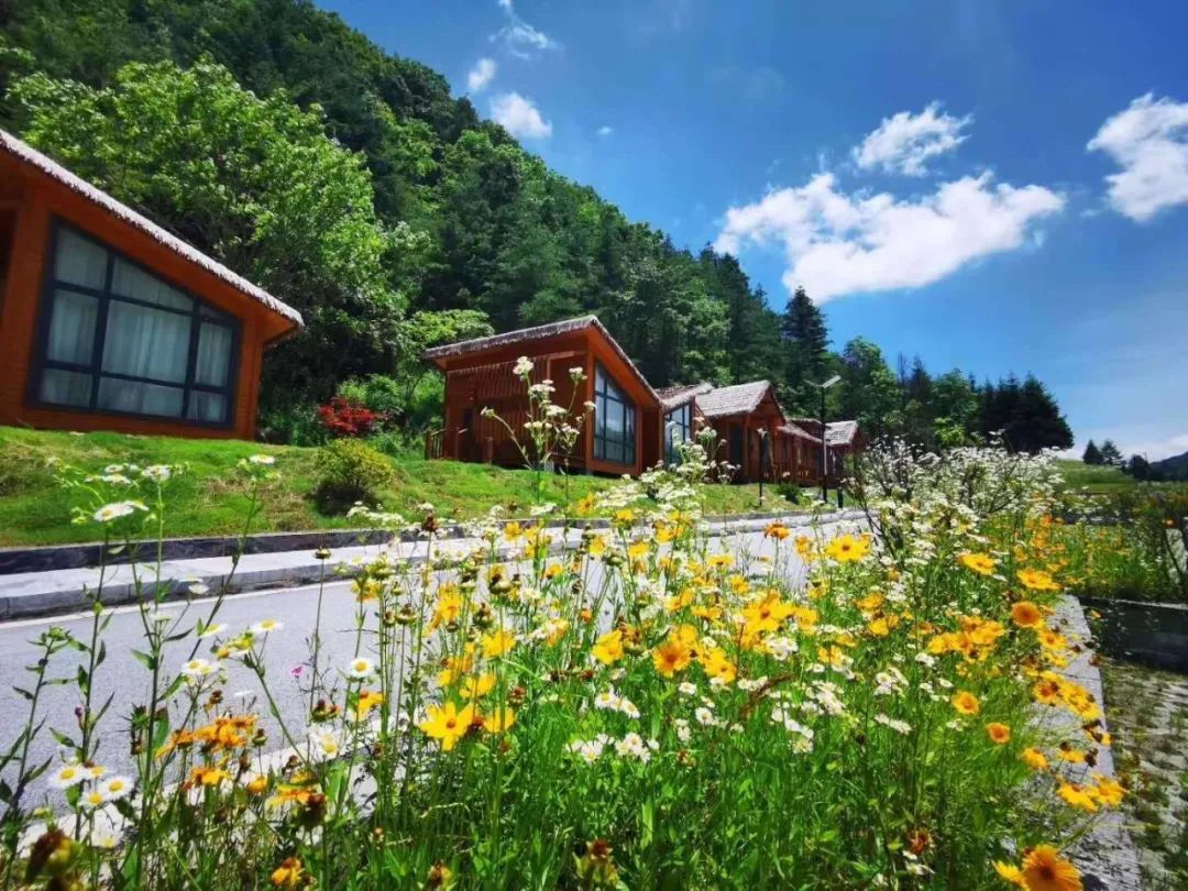 妇女节巴桃园景区为妳免费开!