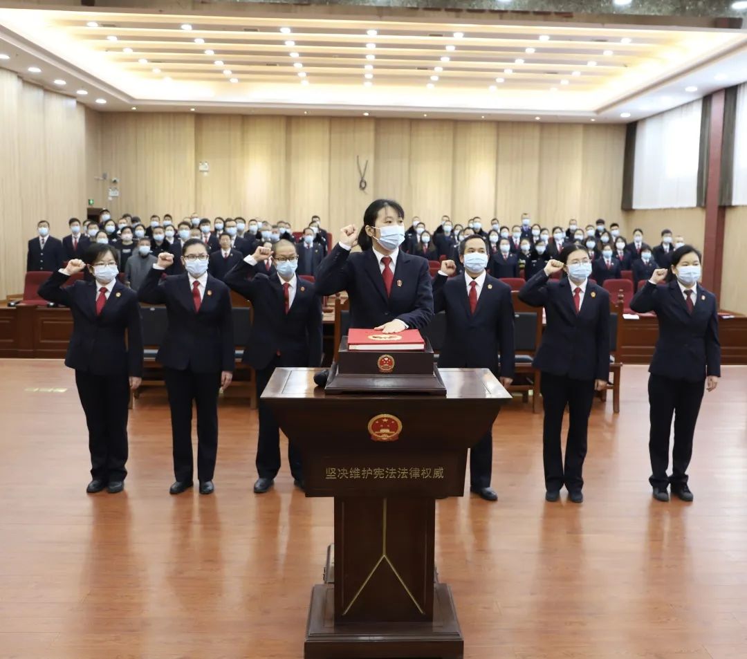 当阳市人民法院举行新任职干部宪法宣誓仪式
