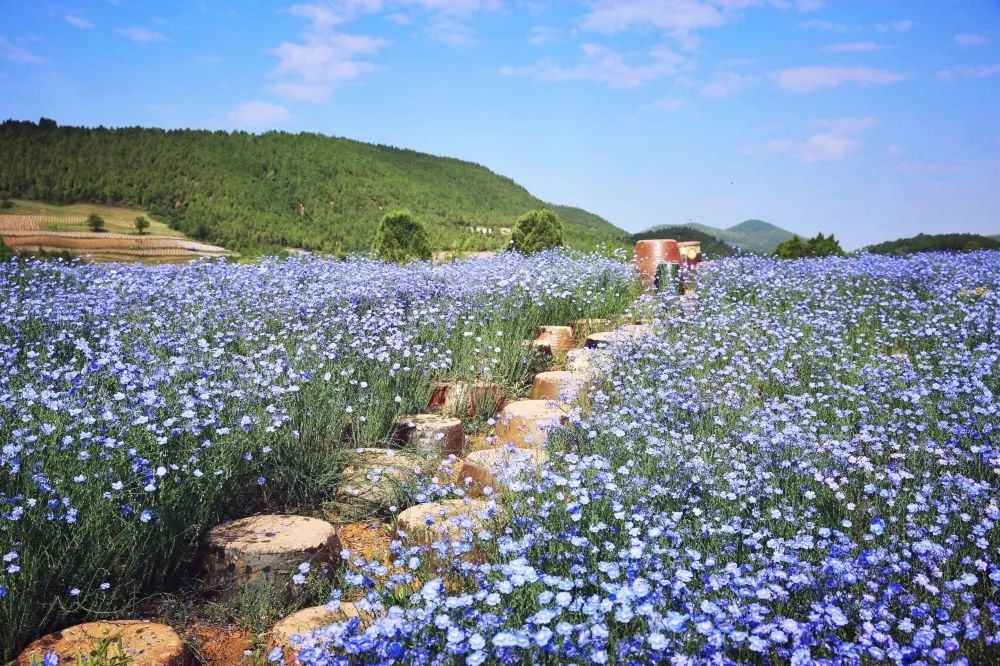 春暖花開邀你來洛寧共赴一場美景盛宴