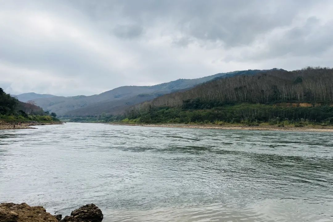 看中老缅边境的木棉花哨所