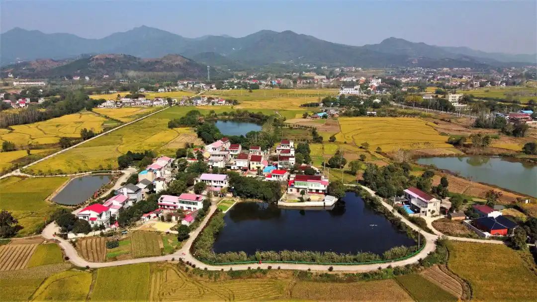 出品:庐江县融媒体中心▼原标题:《【擘画新蓝图 扬帆新征程】柯坦镇