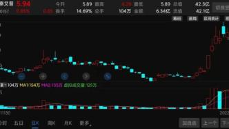 股東內斗、業(yè)績巨虧，“妖股”恒泰艾普到底有沒有“虛假陳述”？