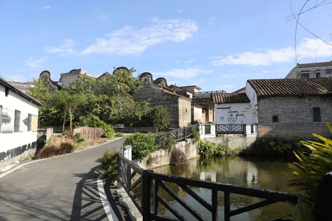 新兴法院组织干警到太平悦塘村,河村开展"助力乡村振兴 绽放巾帼风华"