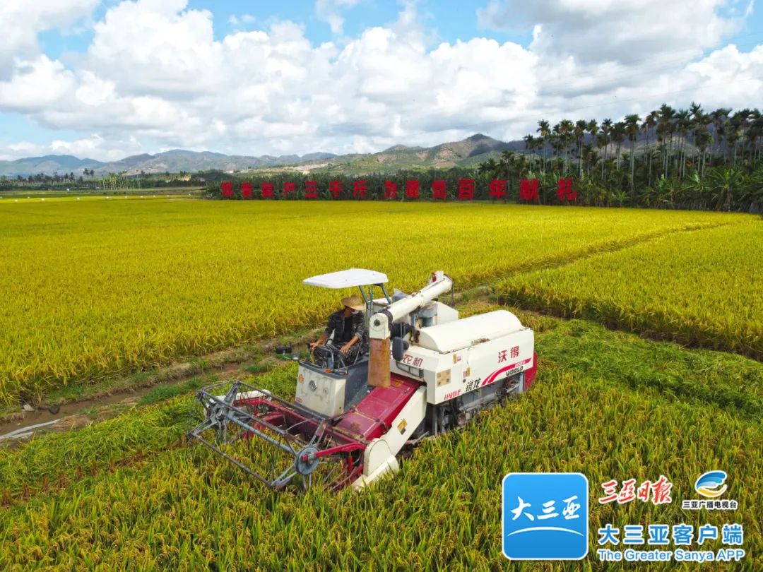 三亚南繁育种基地为中国饭碗打牢基础