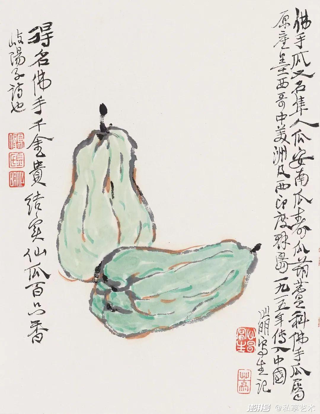 葫芦科佛手瓜属.