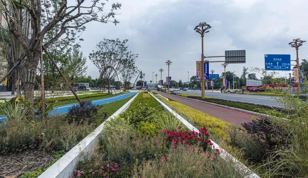 全面提升环境品质郫都区加速迈进美颜模式