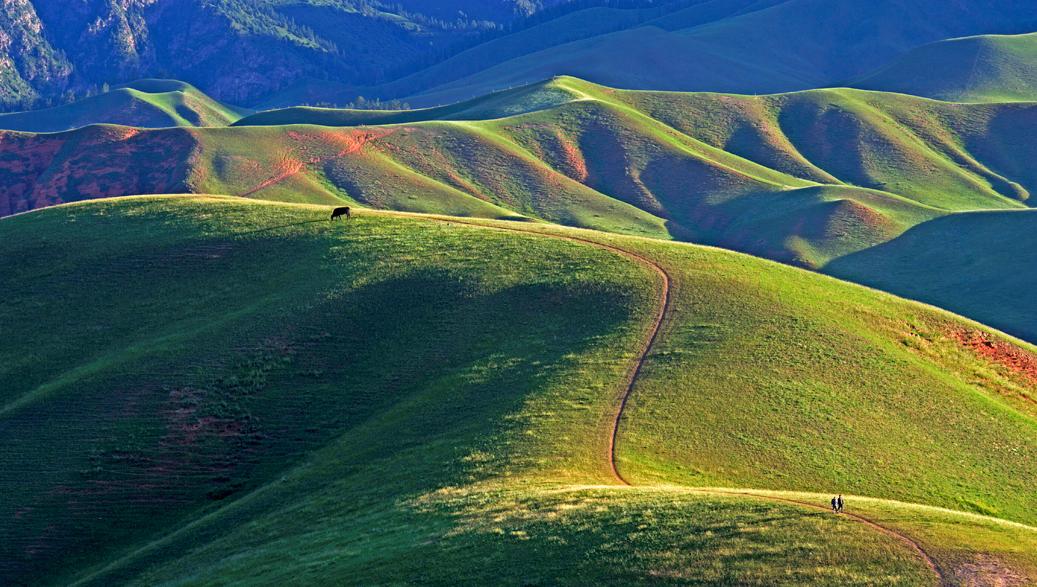 我在青海等风等春天也在等你67