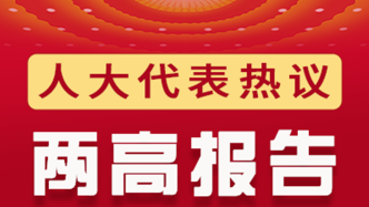 楼阳生代表：在法治轨道上推进治理体系和治理能力现代化