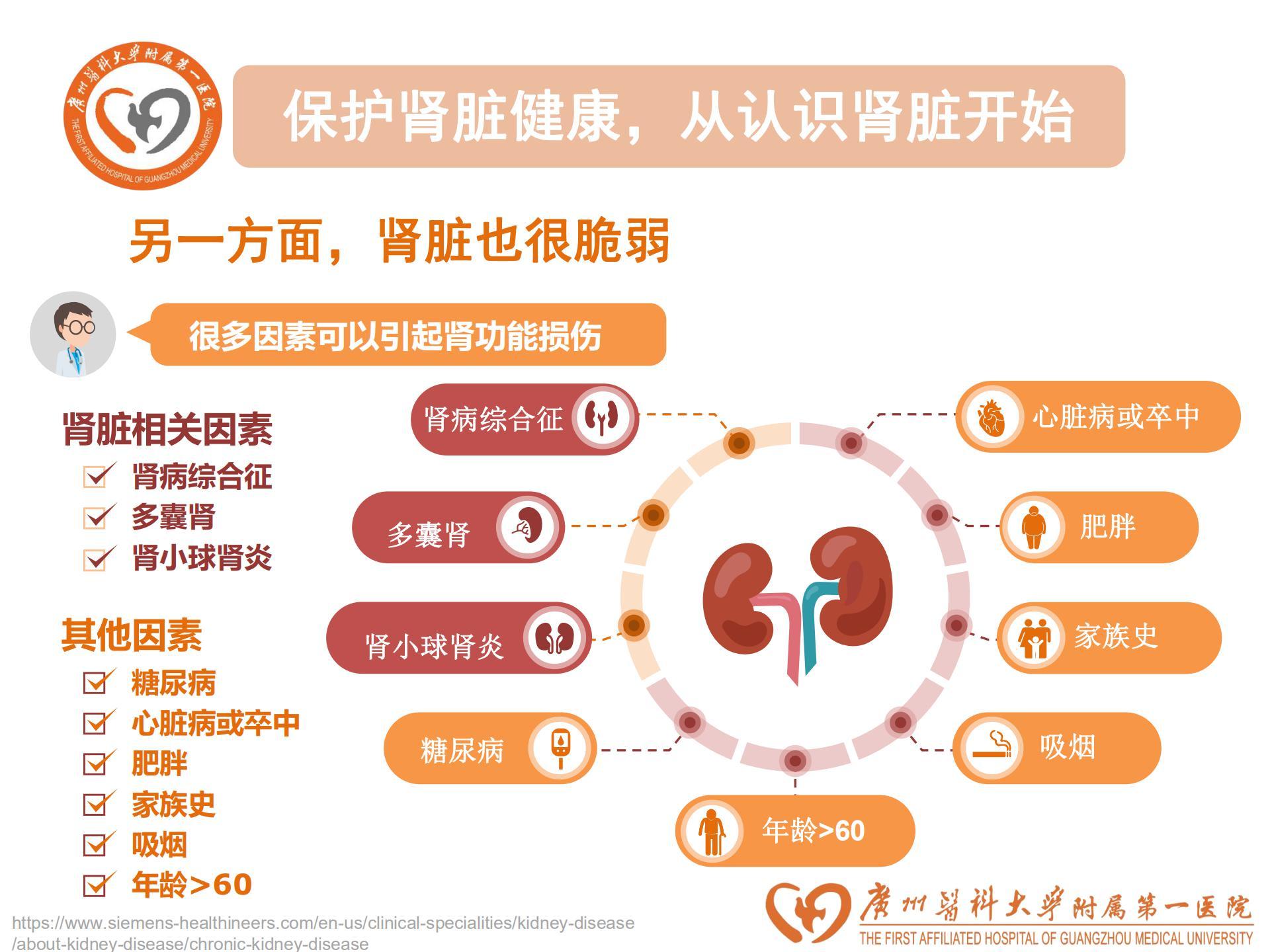 世界肾脏病日2021主题图片