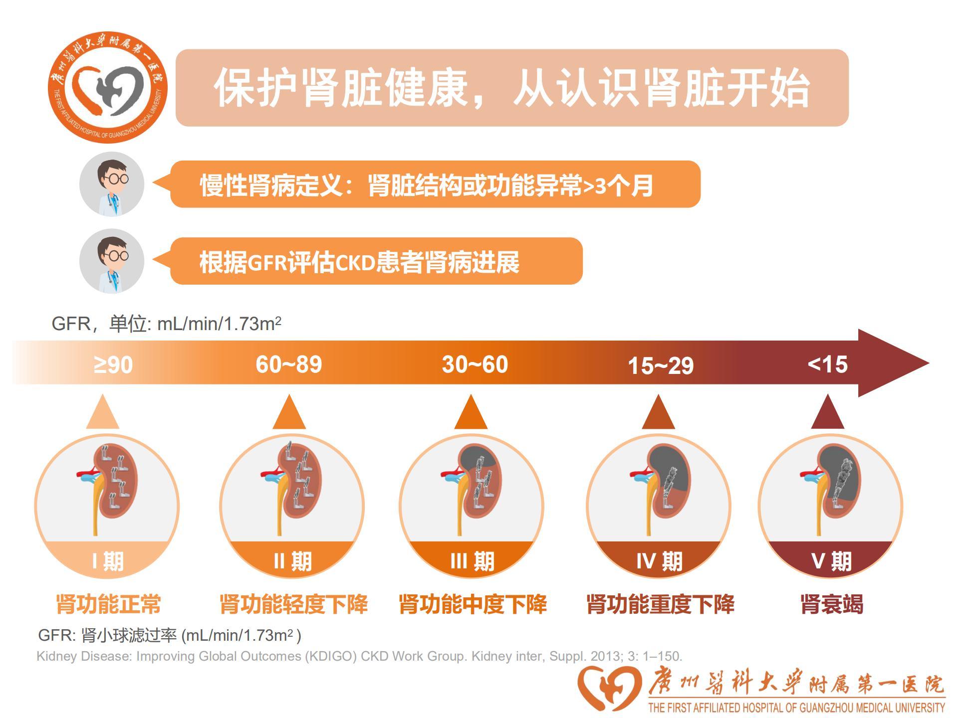 世界肾脏日人人关注肾健康