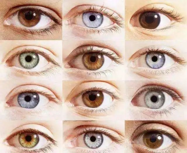 而虹膜的中央有个小圆孔,就是瞳孔,如果说人眼是心灵之窗,那么瞳孔绝