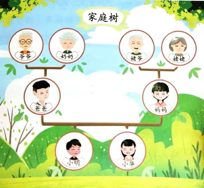 family家庭树图片大全图片