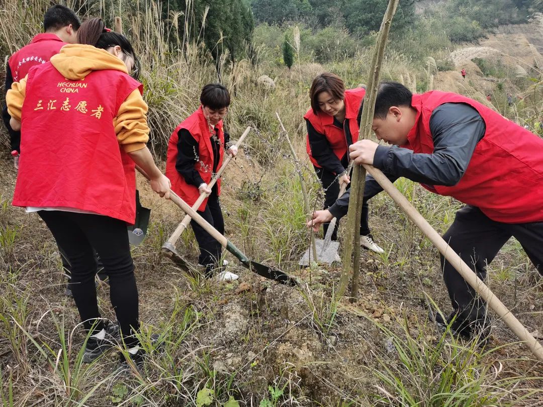 三庙镇沙鱼镇狮滩镇双凤镇双槐镇土场镇燕窝镇合川区妇联官方微信传递