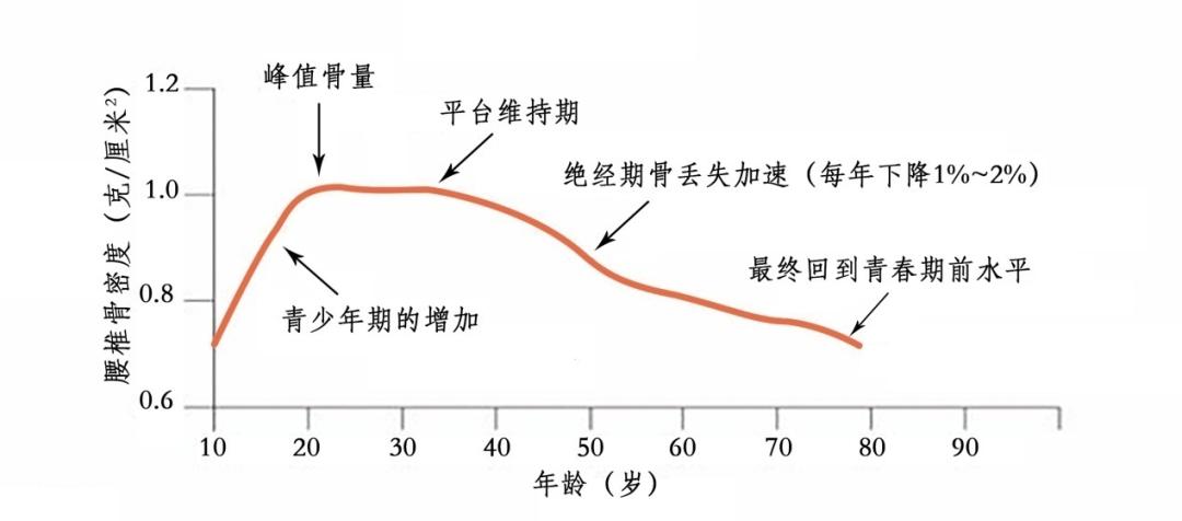 骨密度曲线图图片图片