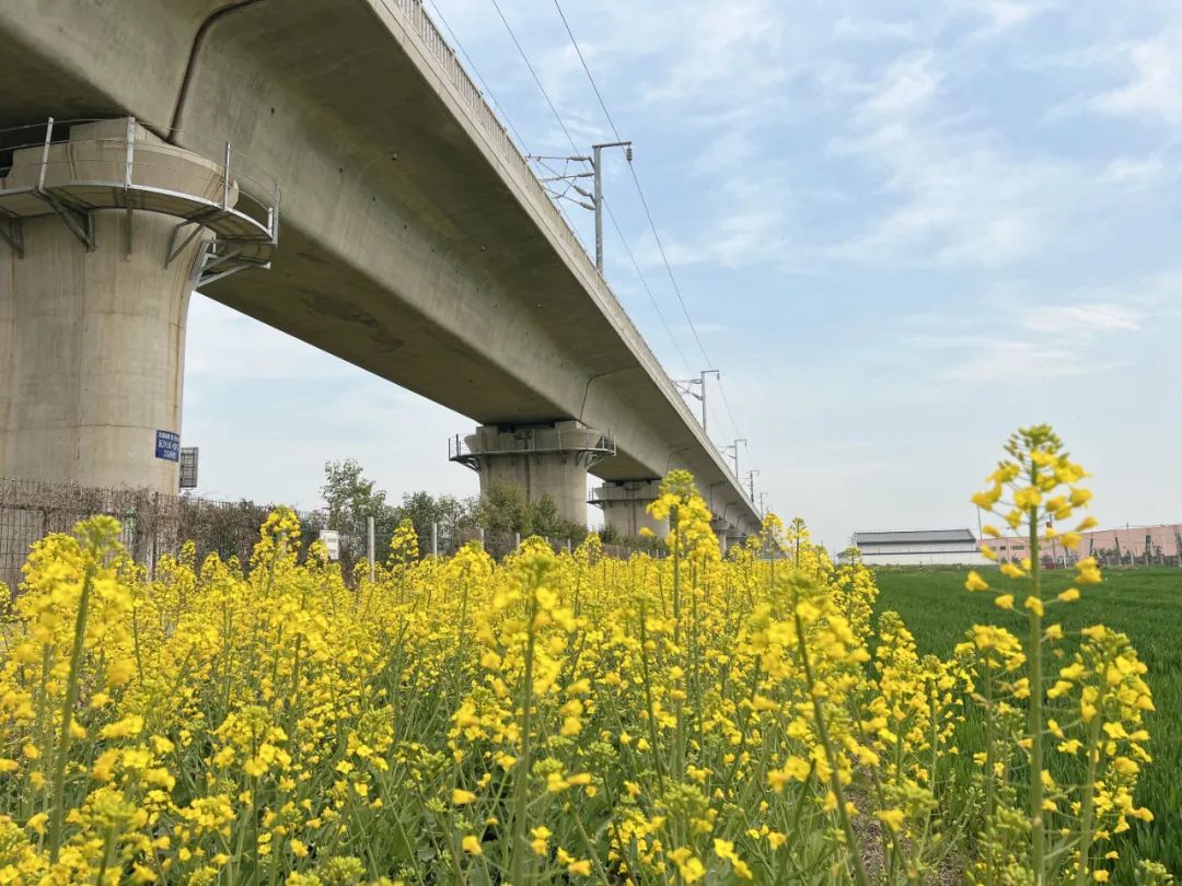 申高云杭州货运中心 宁波北货场 梁力合福高铁旁匡河美景 任新志潘集
