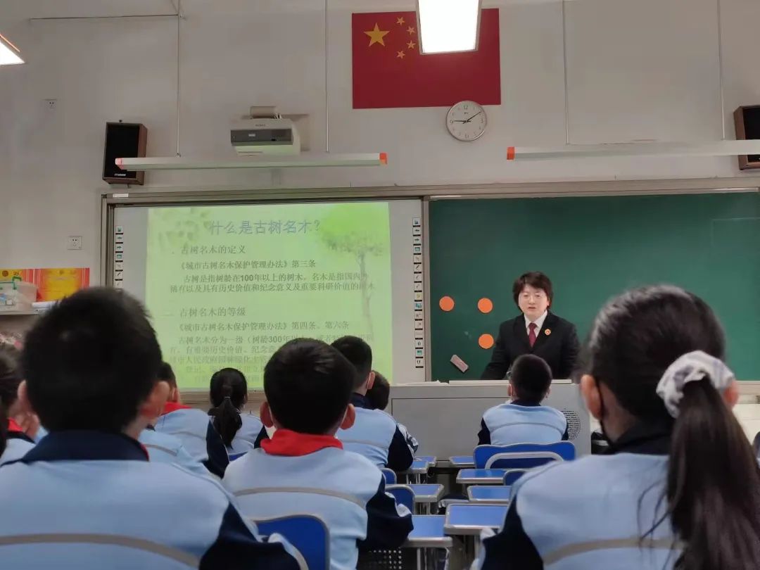 授課從參觀文安小學校內的一棵古樹開始,在這棵200多年曆史的榕樹面前