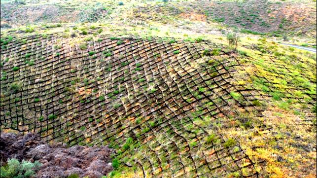 用60年创造的绿色奇迹