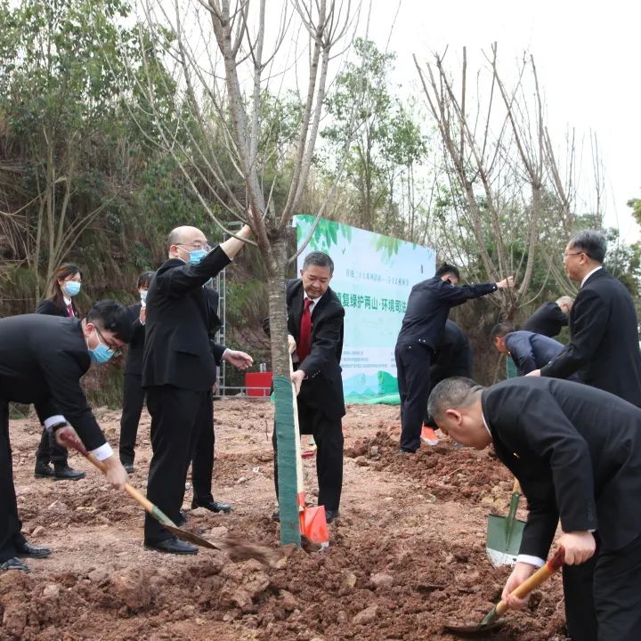 種下一棵樹苗,收穫一片森林,聚木成林,為蓉城添綠,為雙碳貢獻,美麗