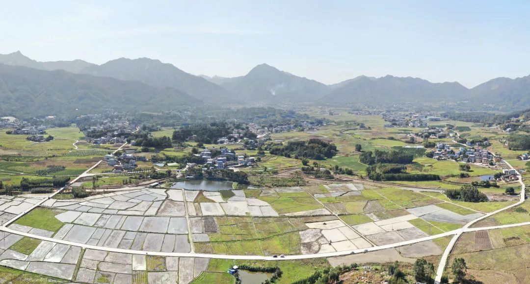 陈团贵,武宣县三里镇米贵水稻种植专业合作社理事长,2015年合作社成立