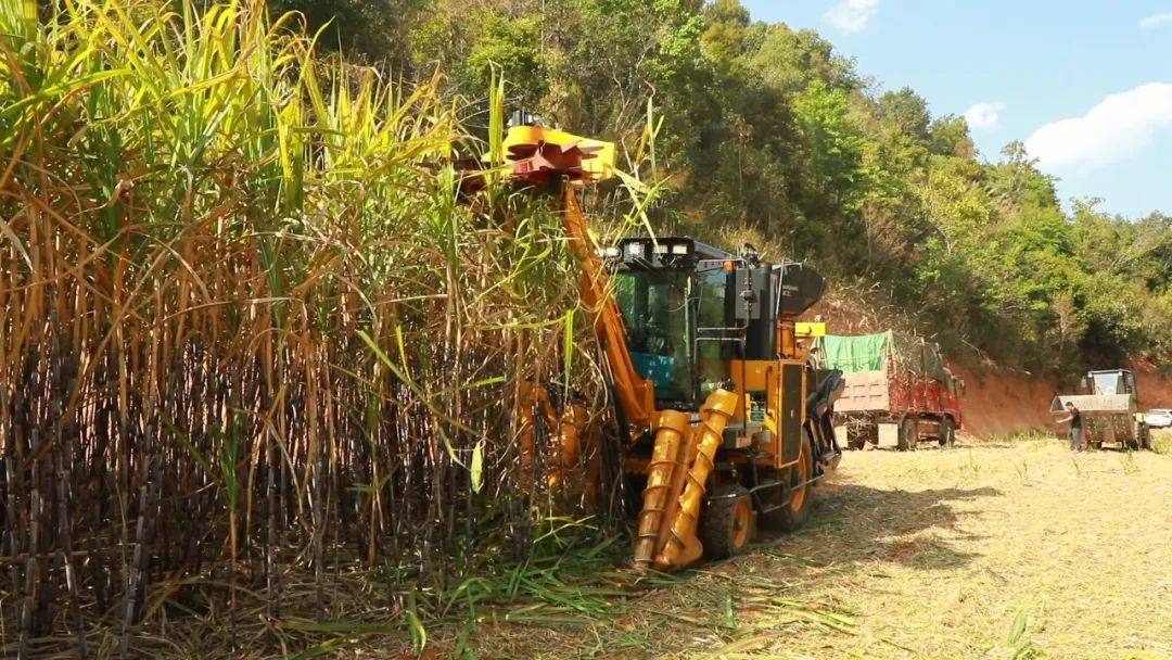 走基层看振兴丨1机抵30人澜沧县甘蔗机械化收种让甜蜜的事业更甜