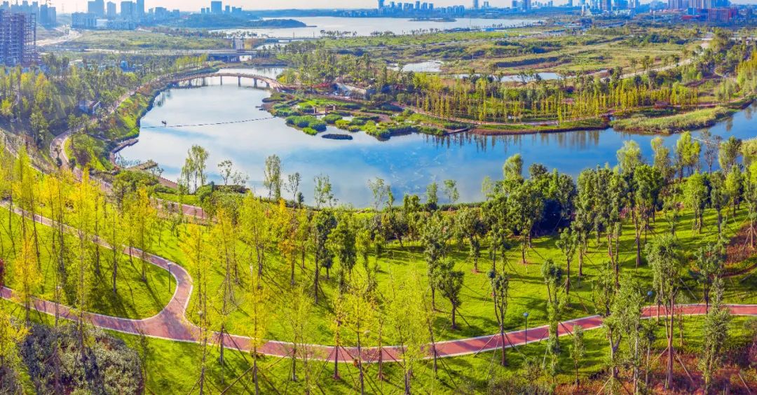 鹿溪河东风渠规划设计来了