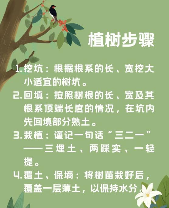 了解植树节图片