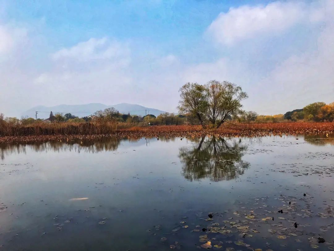 湖州图影湿地公园图片