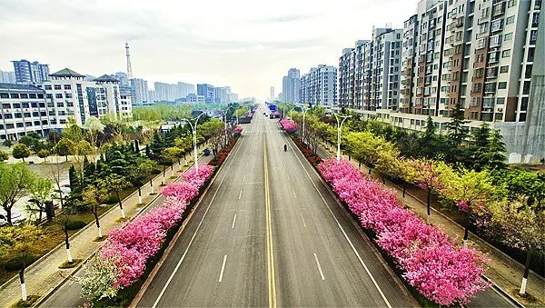 城管心声_城管服务群众_城管局领导驱赶办事群众？官方回应