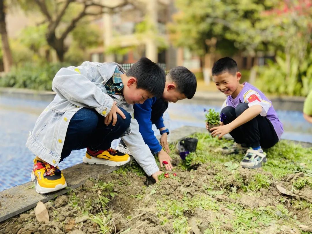 彭山区妇联友好型儿童之家三月儿童议事会拥抱春天种植未来