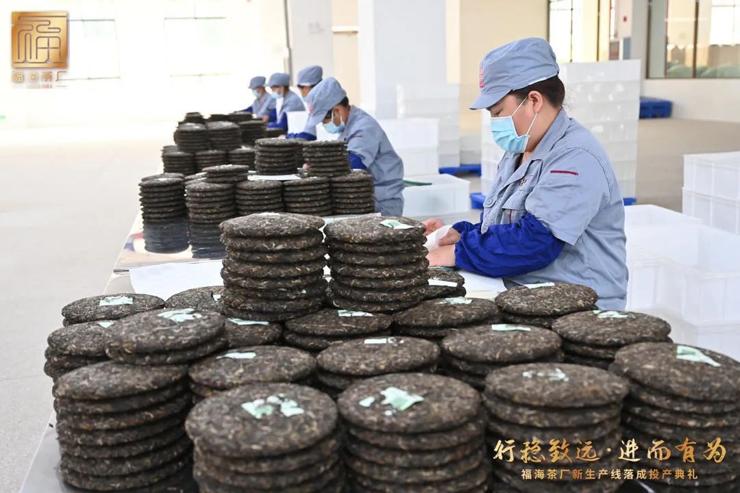 勐海邹记福茶厂图片