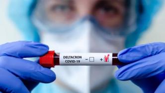 德尔塔、奥密克戎病毒合体，“德尔塔克戎”混合变种被确认