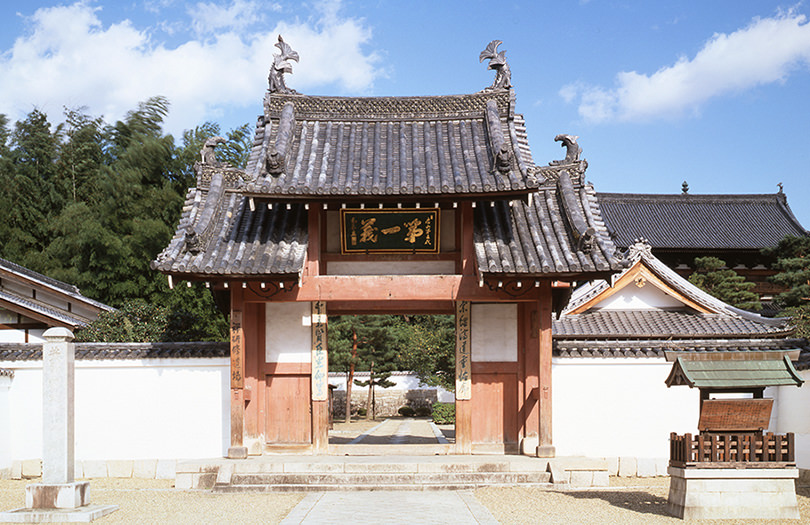 踏访京都万福寺，这里有一位中国高僧的东渡故事_澎湃号·湃客_澎湃新闻 