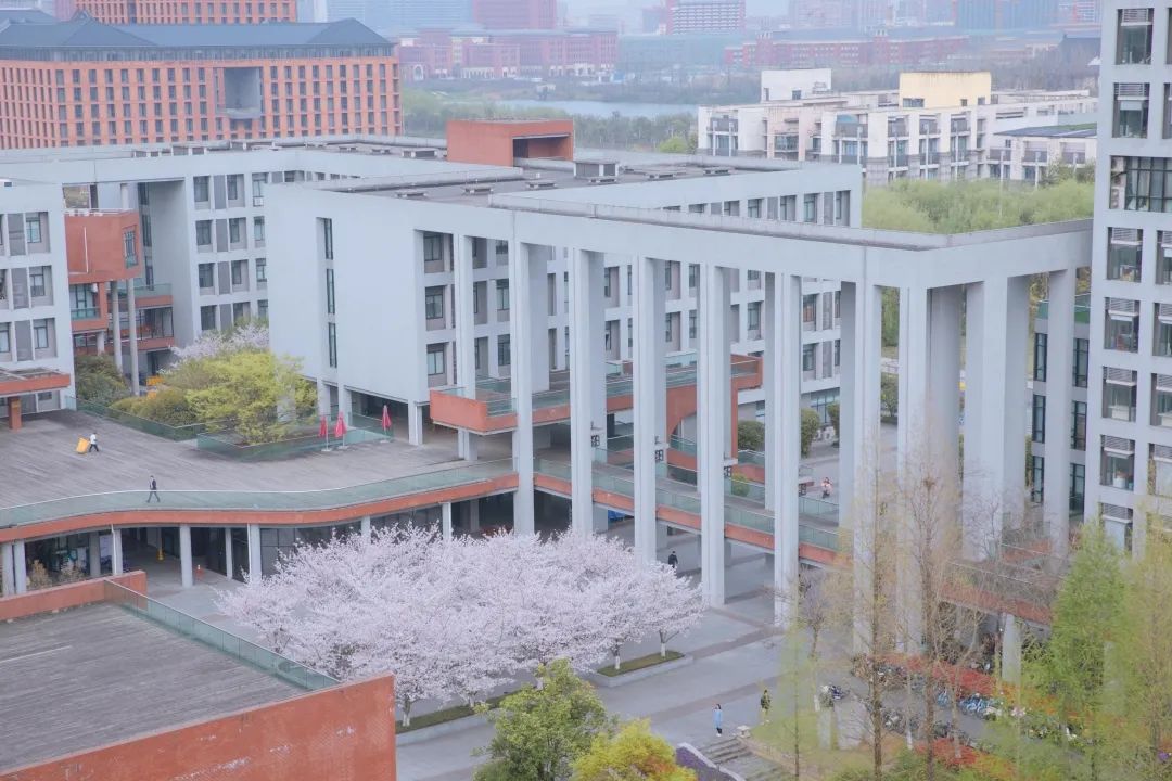 安中大楼共同谱写独属于春天的浪漫缤纷的落樱枝头的灿烂在江南的烟雨