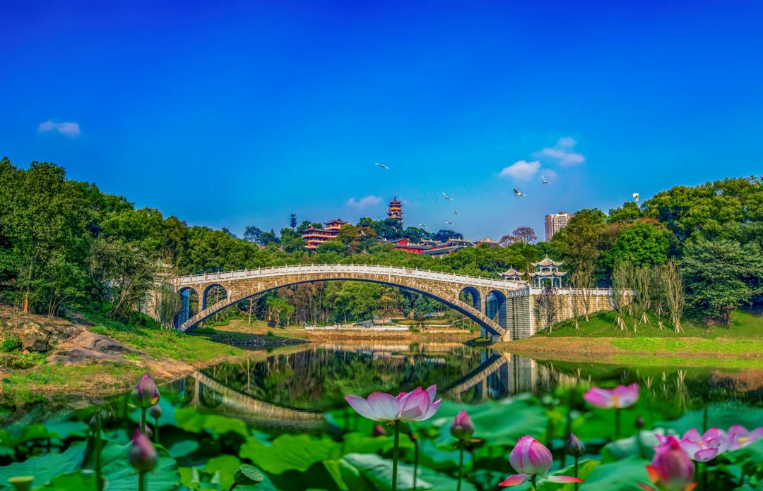 镜头下的美丽河湖人文九龙坡