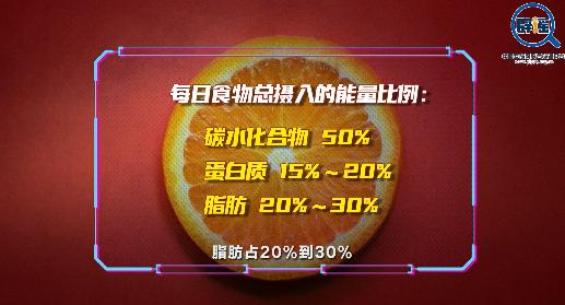 减肥饮食健康食谱_减肥的健康饮食_怎样健康饮食减肥