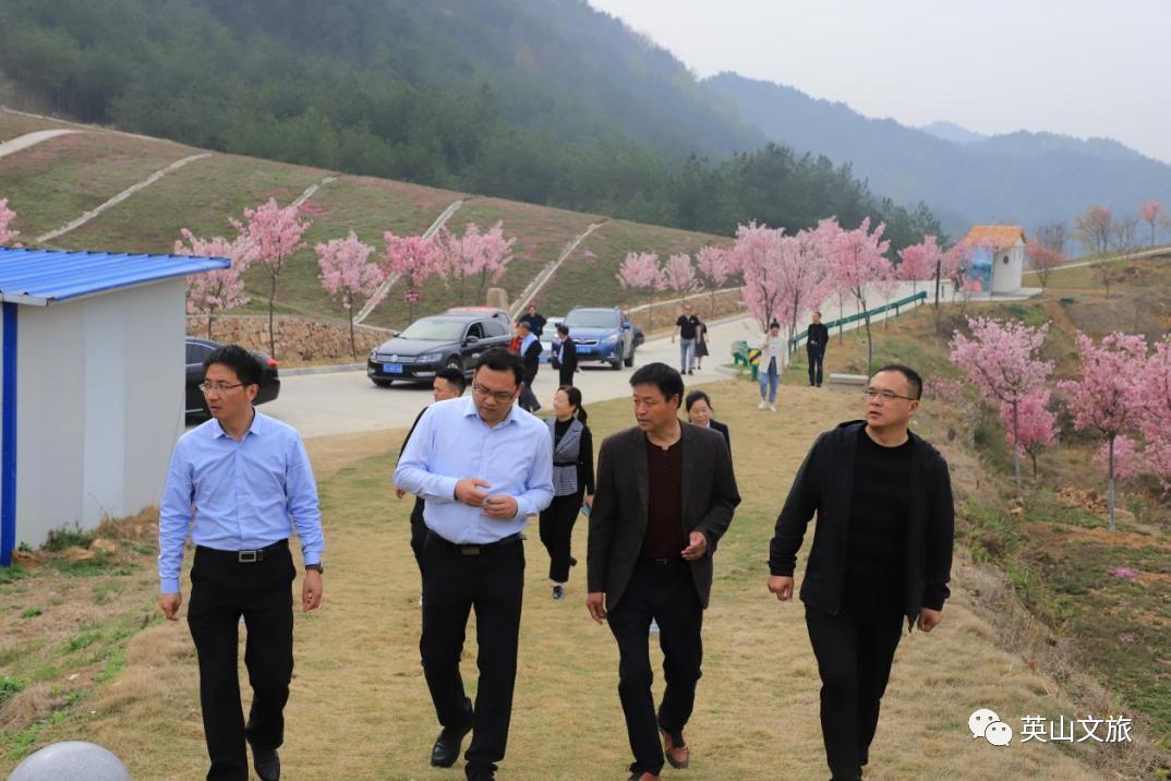 英山网站建设公司_(英山网站建设公司有哪些)