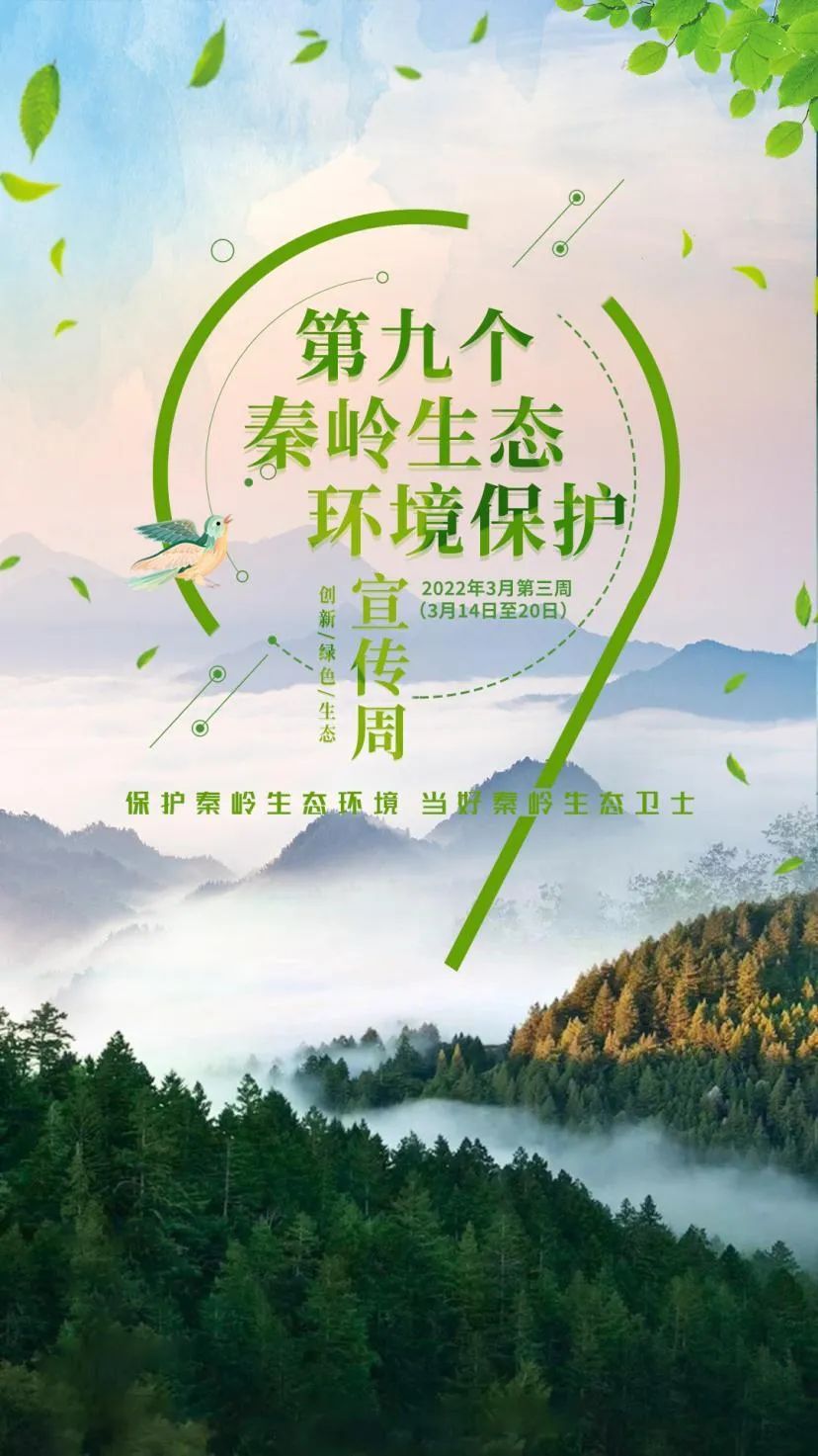 保护大秦岭西安在行动