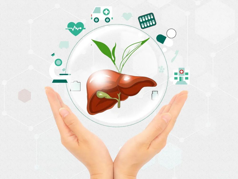 全国爱肝日你的肝还好吗