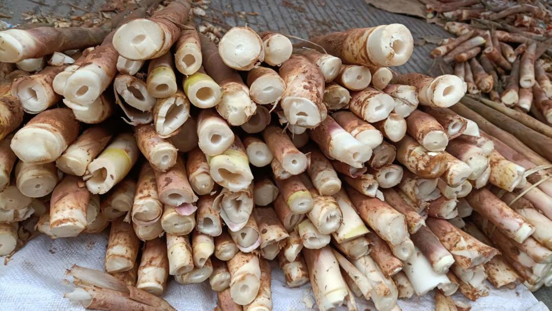 广宁县第二届南街星平文笋节你不能不逛的集市