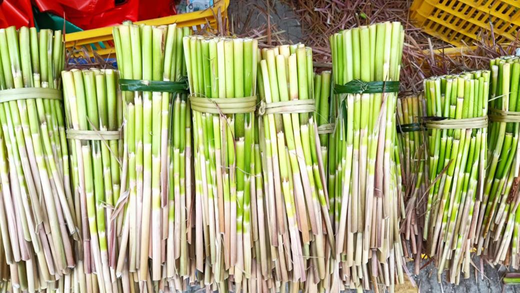 广宁县第二届南街星平文笋节你不能不逛的集市